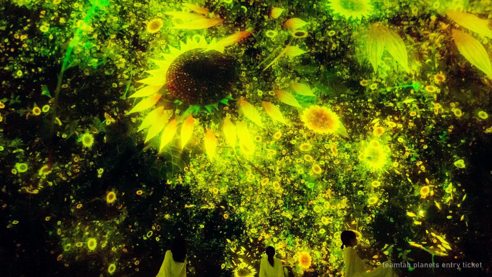 teamLab Planets Entry Ticket: $25 Timed Entry, Non-Refundable — photo from the booking listing, teamLab Planets TOKYO DMM, Tokyo