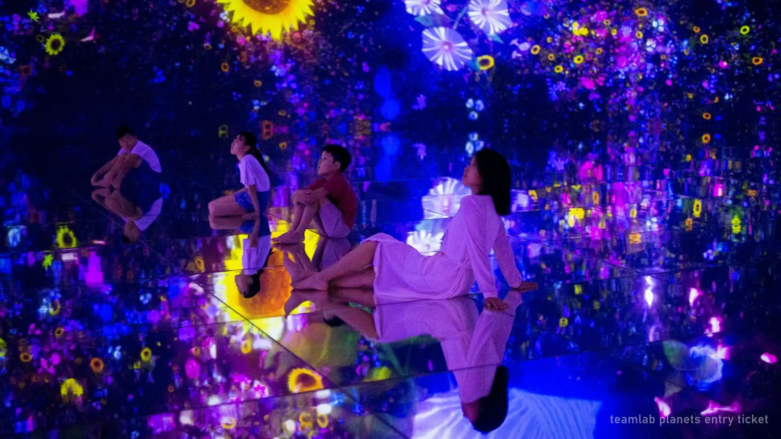 teamLab Planets Entry Ticket: $25 Timed Entry, Non-Refundable — photo from the booking listing, teamLab Planets TOKYO DMM, Tokyo