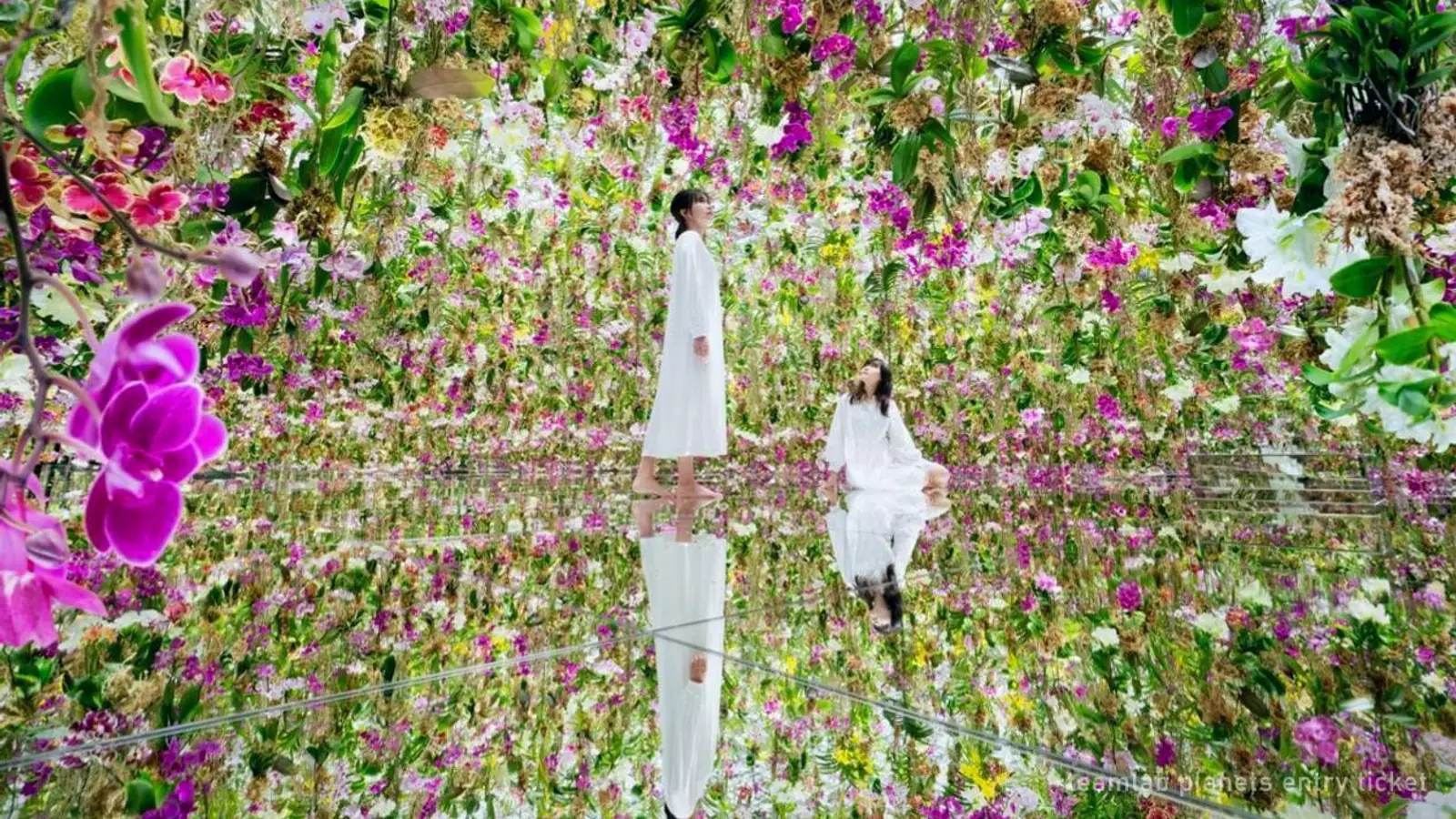 teamLab Planets Entry Ticket: $25 Timed Entry, Non-Refundable — photo from the booking listing, teamLab Planets TOKYO DMM, Tokyo