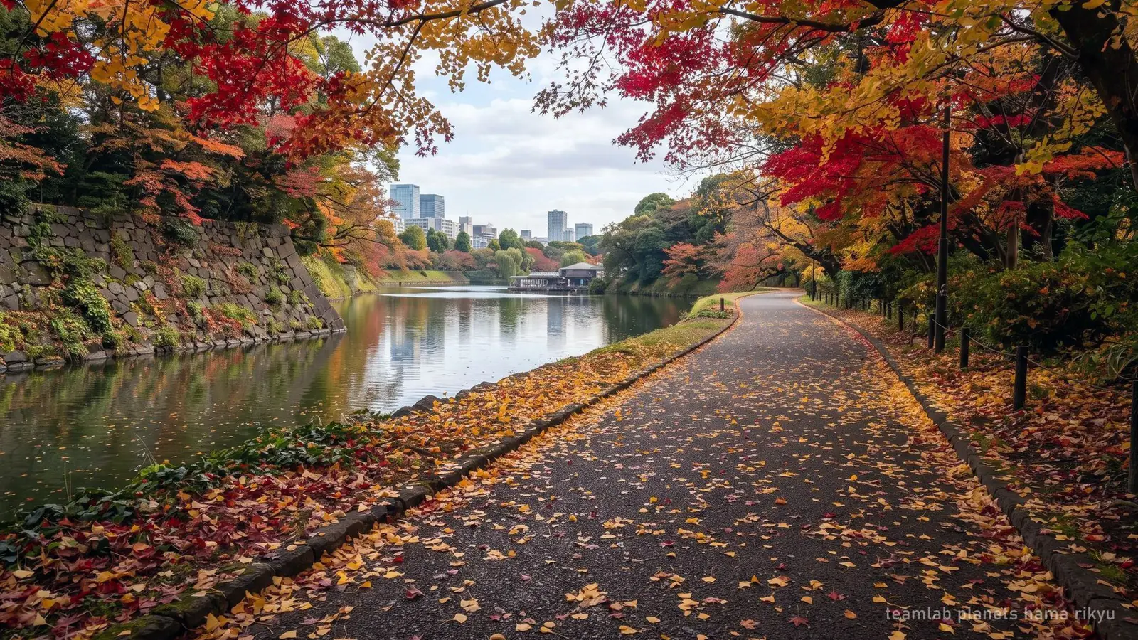 teamLab Planets and Hama-rikyu Garden Tour: 3.5 Hours, $108 — photo from the booking listing, teamLab Planets TOKYO DMM, Tokyo