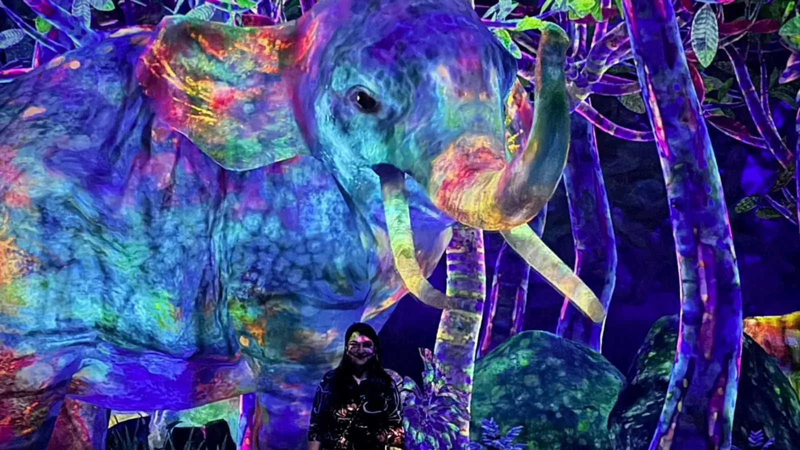 teamLab Planets and Odaiba Robot Tour: 4 Hours with a Guide — photo from the booking listing, teamLab Planets TOKYO DMM, Tokyo